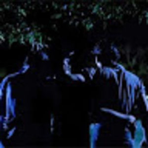 Meet your Posher, Bailey